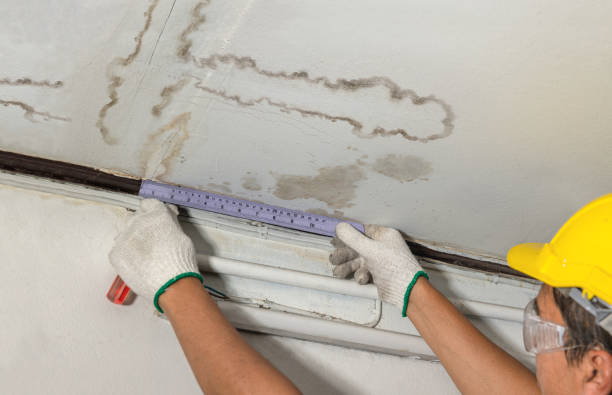Reliable Basement Water Removal contractor in Franklin, GA by Water Damage Irwin